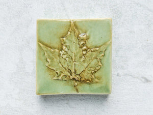 maple leaf ceramic accent tile