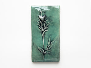 3x6" Phlox Flowers Accent Tile
